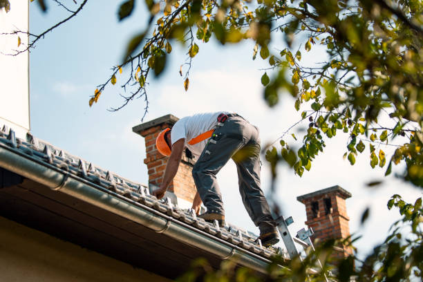 Best Gutter Installation and Roofing  in Oreana, IL