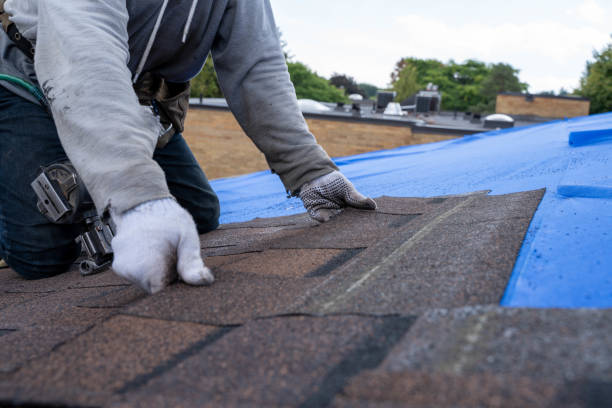 Best Commercial Roofing Services  in Oreana, IL