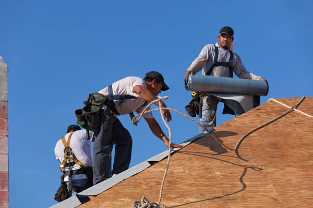 Professional Roofing Contractor in Oreana, IL