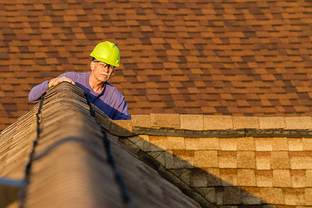 Best Roof Repair Services  in Oreana, IL