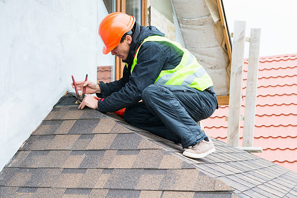 Best Roof Gutter Cleaning  in Oreana, IL